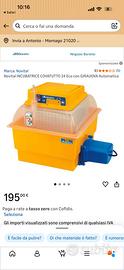 Incubatrice covatutto eco 24 automatica