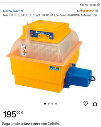 Incubatrice covatutto eco 24 automatica
