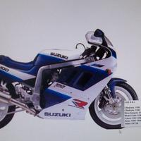 CODINO COPRISELLA SUZUKI GSX R1100