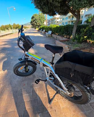 bici elettrica fat bike