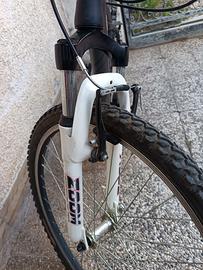 Bicicletta ragazzo/a