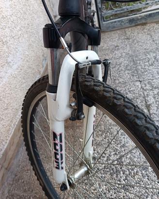 Bicicletta ragazzo/a
