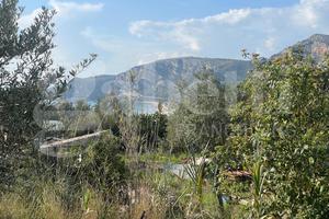 Terreno Agricolo Gaeta [Cod. rif T54VCG]