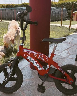 Bicicletta bambino 3-6 anni