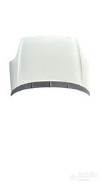 COFANO ANTERIORE FIAT Punto Serie 51701140 (12>18)