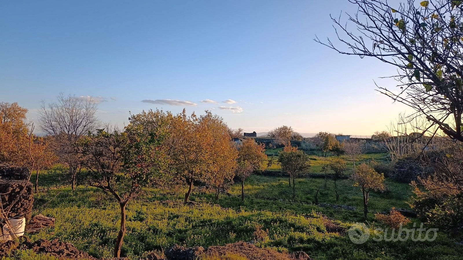 Terreno agricolo di mq.3433 con rustico catastato - Vista 5