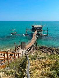 SETTEMBRE sulla costa dei Trabocchi PET FRIENDLY!