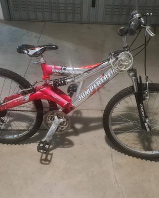 biciclette