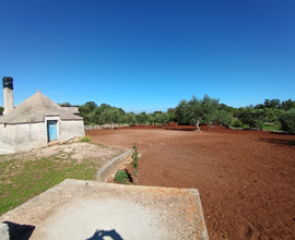 Terreno rustico con trullo in contrada Curcio