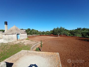 Terreno rustico con trullo in contrada Curcio