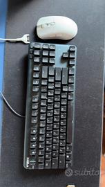 MK FANATIC bolt mouse e ministreak