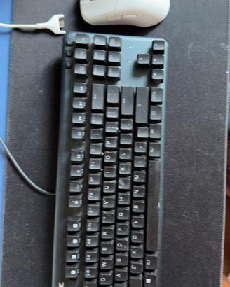 MK FANATIC bolt mouse e ministreak
