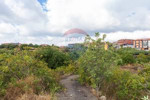 Terreno - Camporotondo Etneo