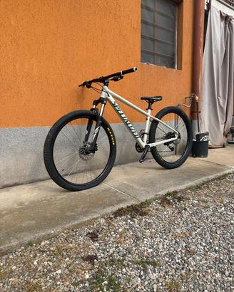 specialized rockhopper