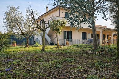 Ampio trilocale, ingresso indipendente, giardino