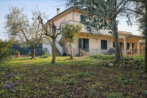Ampio trilocale, ingresso indipendente, giardino