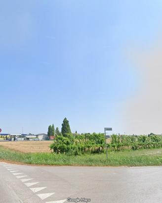 Terreno agricolo a Lugo (RA) - 22.000 m