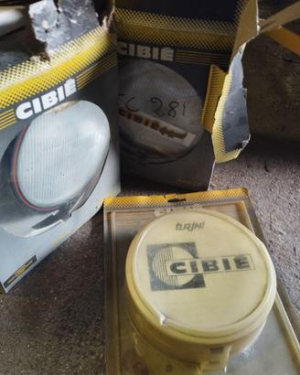 CIBIE Apollo Turini