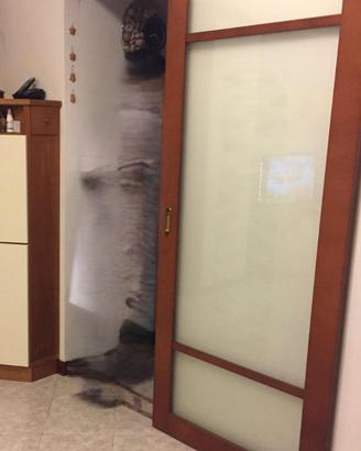 Porta scorrevole in legno e vetro satinato