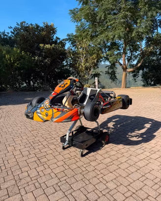 Kart intrepid rotax max 125