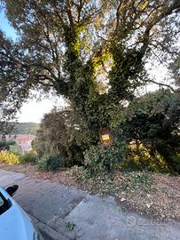 Terreno edificabile panoramico