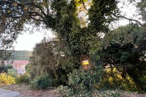 Terreno edificabile panoramico