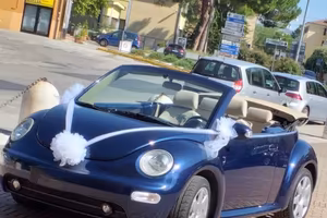 New beetle cabrio