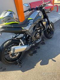Benelli Leoncino 250 - 2023