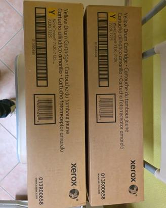 Tamburo originale Giallo cod. 013R00658