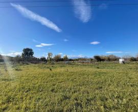 TERRENO AGRICOLO