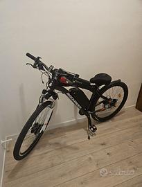Bicicletta elettrica