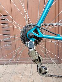 bicicletta da corsa montana