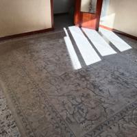 Tappeto Ziegler 240x340