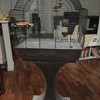 gabbia per pappagalli non tossica