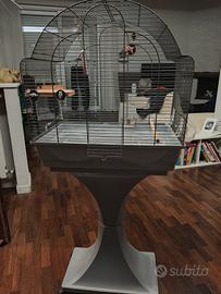 gabbia per pappagalli non tossica