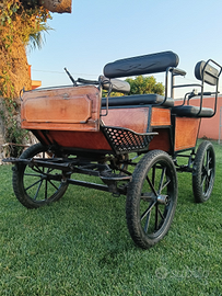 Carrozza poni