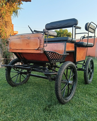 Carrozza poni