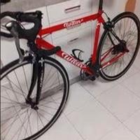 Bici da corsa Wilier Triestina, cambio 10 velocita