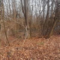 Rete metallica plasticata