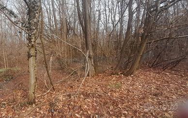 Rete metallica plasticata