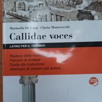 Libri scolastici LATINO usati