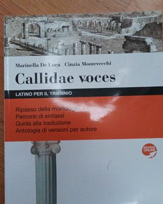 Libri scolastici LATINO usati