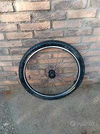 ruota mountainbike