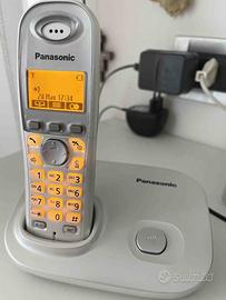 Telefono cordless Panasonic KX-TG7301JTS
