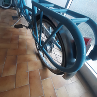 Bici tandem,donna,ragazza