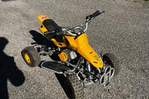 Miniquad 50 cc