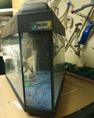 Acquario angolare 90L.