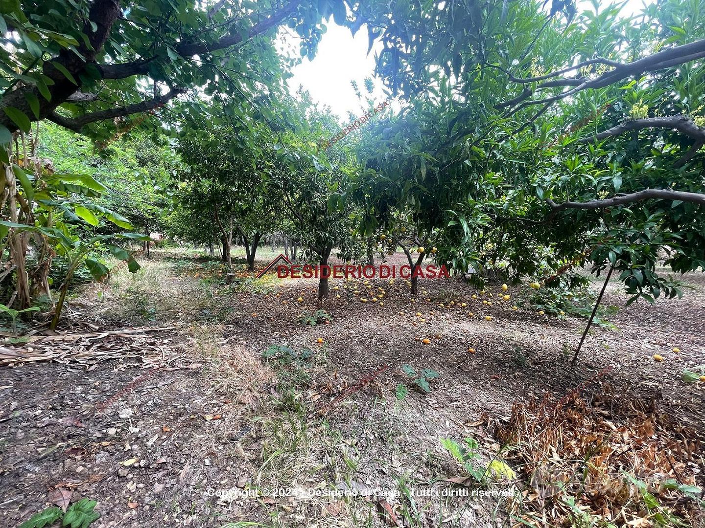 Terreno, Campofelice di Roccella. - Altro
