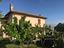 Immagine 17