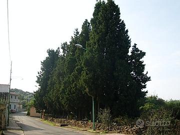 Terreno edificabile mq. 2900